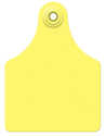 25-Blank Global Maxi Yellow Ear Tags