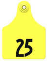 51-75 Numbered Global Maxi Yellow Ear Tags
