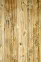 Swampland Cypress Decorative Wall Paneling