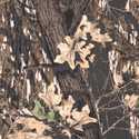 Mossy Oak Camouflage Wall Paneling
