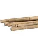 5 ft Bamboo Plant Stakes