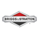 BRIGGS & STRATTON® 5055K 