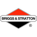 BRIGGS AND STRATTON 1004055Q 