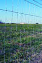Field Fence 939-12-14 Light Duty