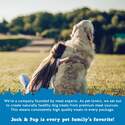 Jack & Pup 566-027-15 