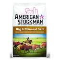 50-Pound, Big 6, Easy Flow Stock, Mineralized Salt