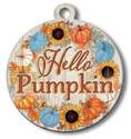 Adoornaments "Hello Pumpkin" Round Door Sign