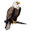 14-Inch Bald Eagle Tree Stake
