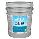 5-Gallon Flat White Pro-Hide Ceiling Paint