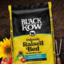 Black Kow 50150376 