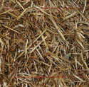 Pine Straw Roll Large