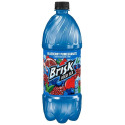 33.8-Fluid Ounce Blueberry Pomegranate Iced Tea
