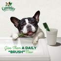 Greenies™ 101440 