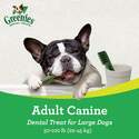 Greenies™ 101440 