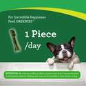 Greenies™ 101440 