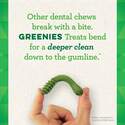 Greenies™ 101440 