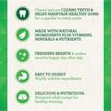 Greenies™ 101440 