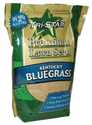 Kentucky Bluegrass Grass Seed 5-Pound 85/80
