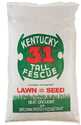 Kentucky 31 Tall Fescue Grass Seed 50-Lb