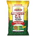 Kentucky 31 Tall Fescue Grass Seed, 25-Pound