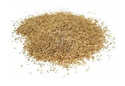 Creeping Red Fescue Grass Seed 5-Pound
