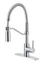 Chrome 1-Handle Spring Spout Kitchen Faucet With Pull-Down Sprayer