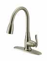 Stainless Steel 1-Handle Pull-Down Kitchen Faucet