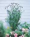 Forged Fan Trellis With Leaves Black 80 in