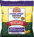 1-Pound Bare Spot Repair Grass Seed