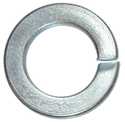 #8 Stainless Steel Lock Washer