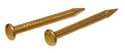 3/4-Inch X 15 Brass Plated Shade Bracket Nail