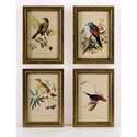 Wooden Bird Plaques - Set Of 4
