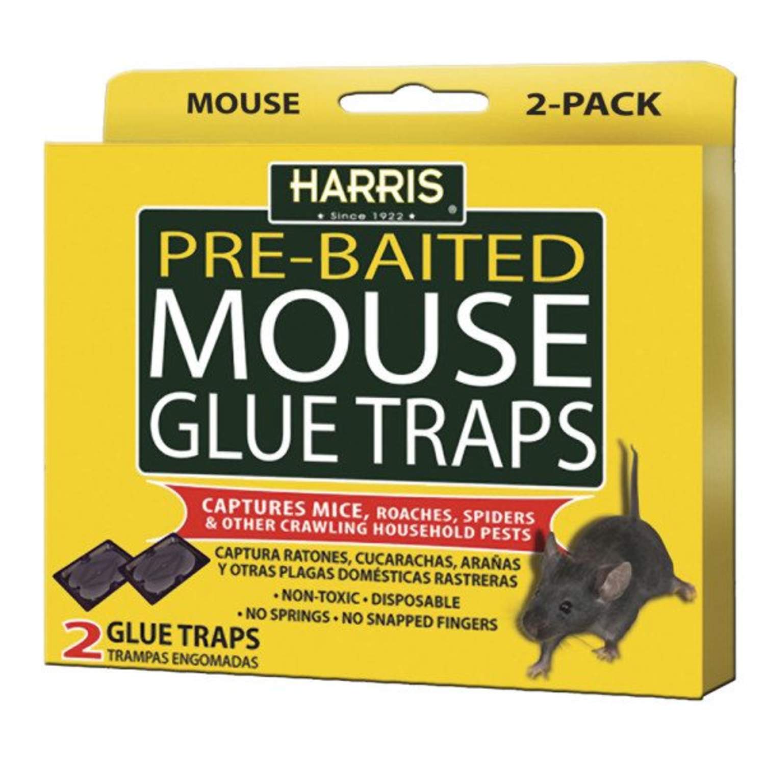 Harris HMG-2 Mouse Glue Trap 2-Pack at Sutherlands