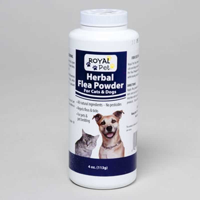 Regent Products 412 Herbal Flea Powder 4 oz For Cats And Dogs at