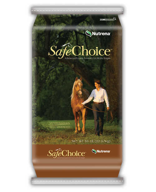 Safe Choice Safe Choice