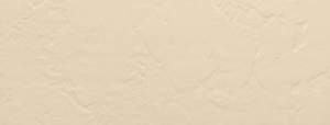 Siding product