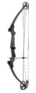 Bows product