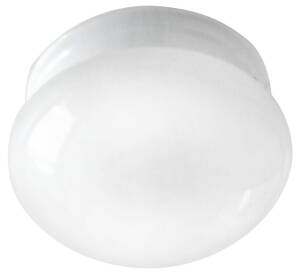 Ceiling Light Fixtures product