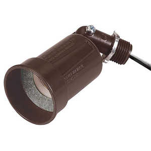 Lighting & Ceiling Fans