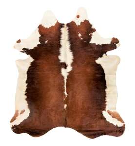 Flooring, Tile, & Rugs