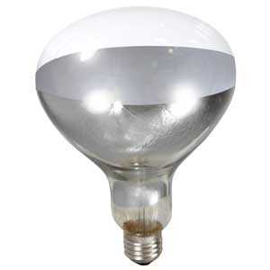 Lighting & Ceiling Fans