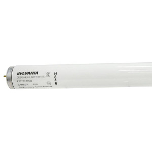 Lighting & Ceiling Fans