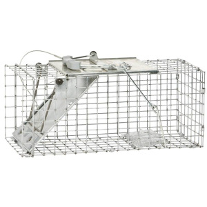 Pet Supplies & Wildbird