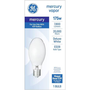 Lighting & Ceiling Fans