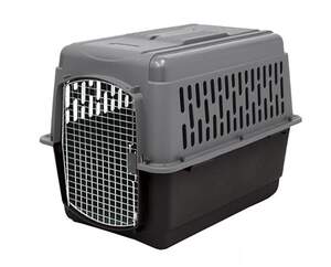Pet Supplies & Wildbird