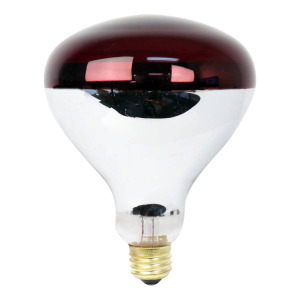 Light Bulbs product