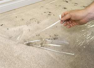 Flooring, Tile, & Rugs