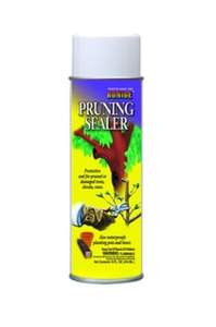Paint
