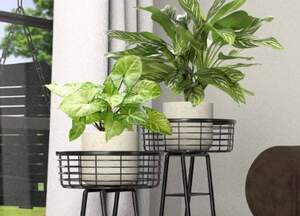 Furniture & Décor