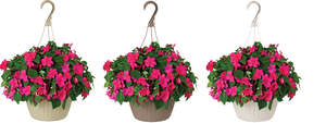 Hangers & Baskets product